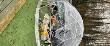 Dome hire
