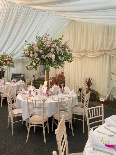 Picture coming soon - Arch lands July 2025!