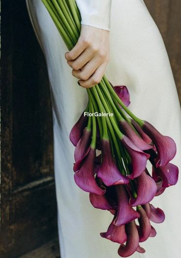 Elegant bridal bouquet of deep burgundy calla lilies