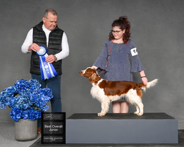 Dog show winner with blue ribbon and handler.