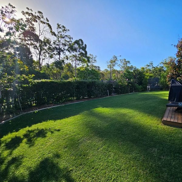 Sunlit green lawn with surrounding trees and a wooden deck on the right.