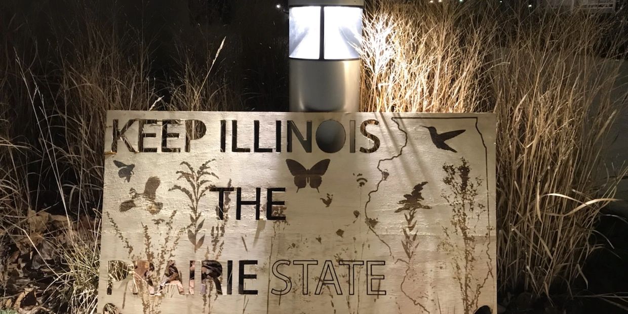 Earth Mama Design Keep Illinois the Prairie State