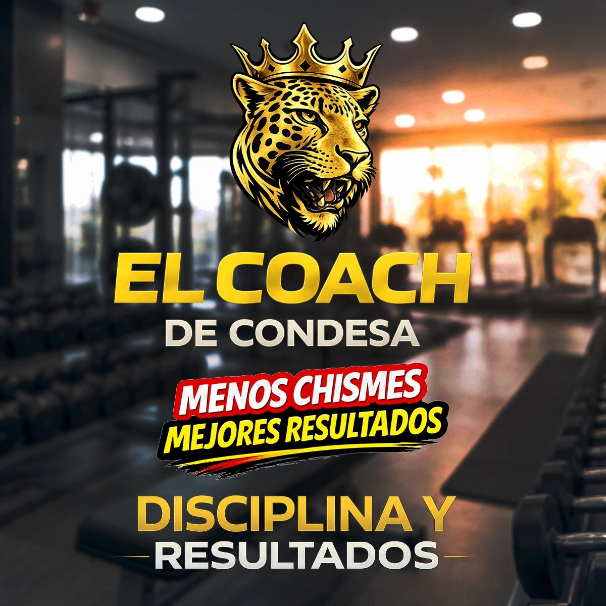 Logo of a crowned leopard with motivational fitness text in Spanish.