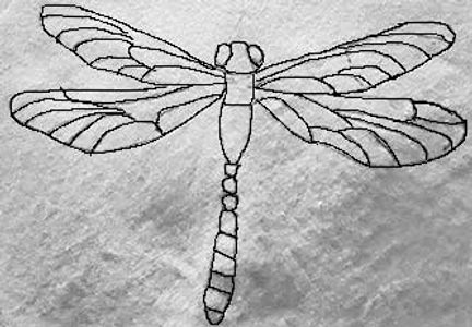 dragonfly image ready for embroidery