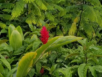 Road frontage on this beautiful plot assures your unrestricted access to your property.