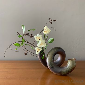 Ikebana with curled  tube like vase with curved branches and white wild iris 