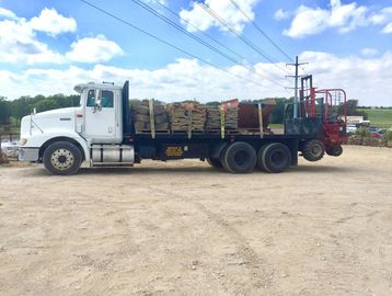 White semi-truck loaded with large logs parked on dirt ground under a blue sky.