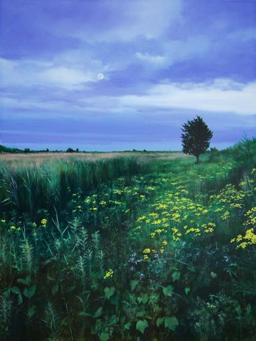 Painting of a marsh in the evening with many yellow flowers, marsh grass, and a cedar tree 