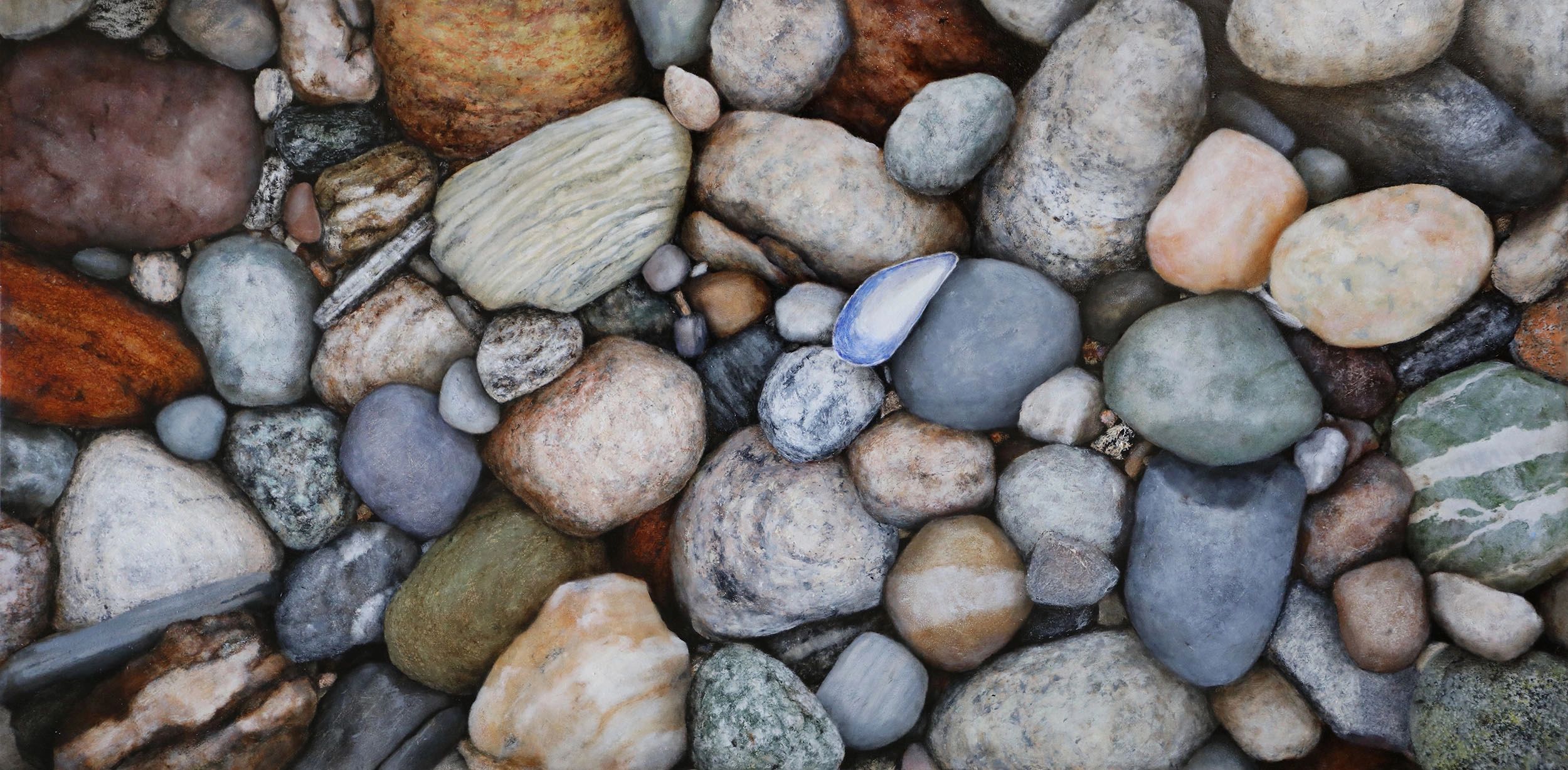 Looking straight down at many multicolored tumbled beach stones and shell