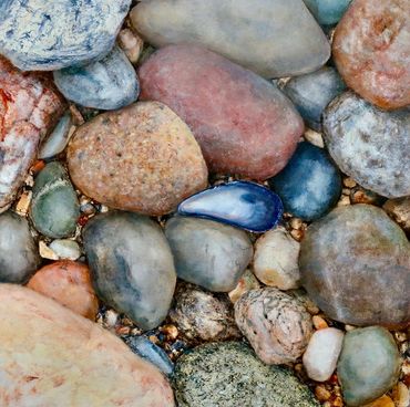 a close look at beach stones in sand with a blue mussel shell