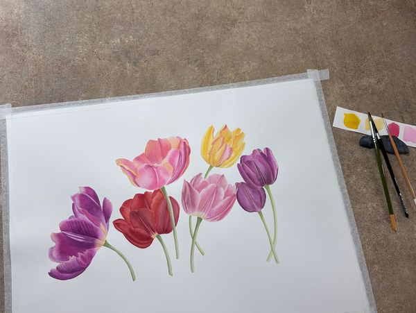 Painting of six colorful tulips on paper.