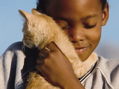 cat and boy