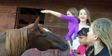 horse and kids