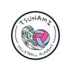Tsunami Volleyball
Academy