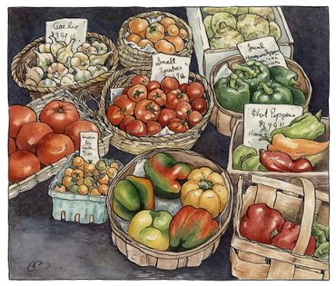 watercolor food illustration of peppers and other vegetables at farmers market