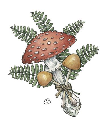 watercolor nature botanical illustration of amanita mushroom ferns and mushrooms