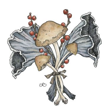 watercolor nature botanical illustration of mushrooms and berries