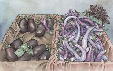watercolor food illustration of purple vegetables, eggplants