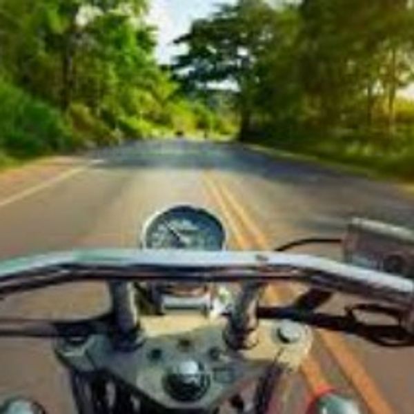 View from a motorcycle rider on a scenic, sunlit road surrounded by trees.