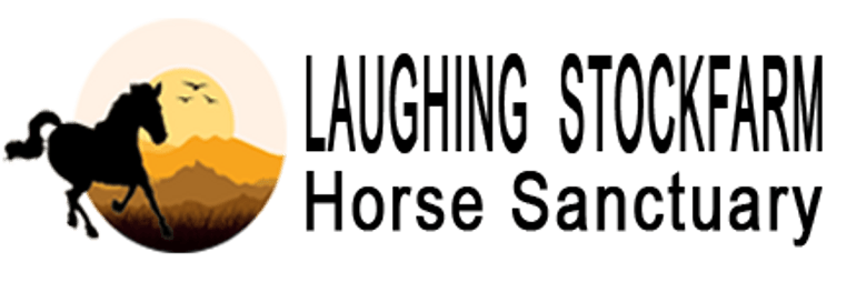 Laughing Stockfarm 
Horse Sanctuary
for retired horses