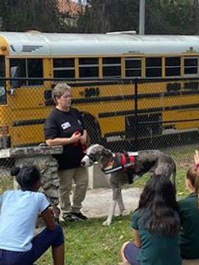 Merlin attending a school program in training Therapy Dogs.