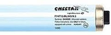 F71T12/BL BP 9.5 100w 1000 73" RDC BR73/Cheetah 9.5