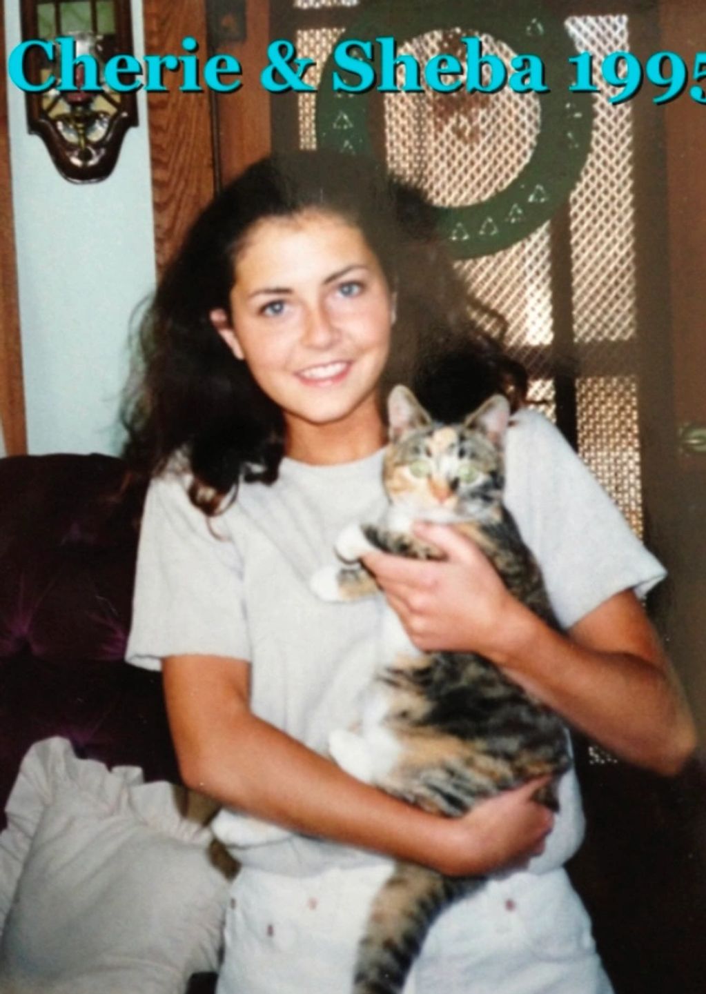 cat sitting Eastlake Florida