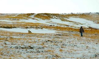 caribou hunting Adak Island lodge