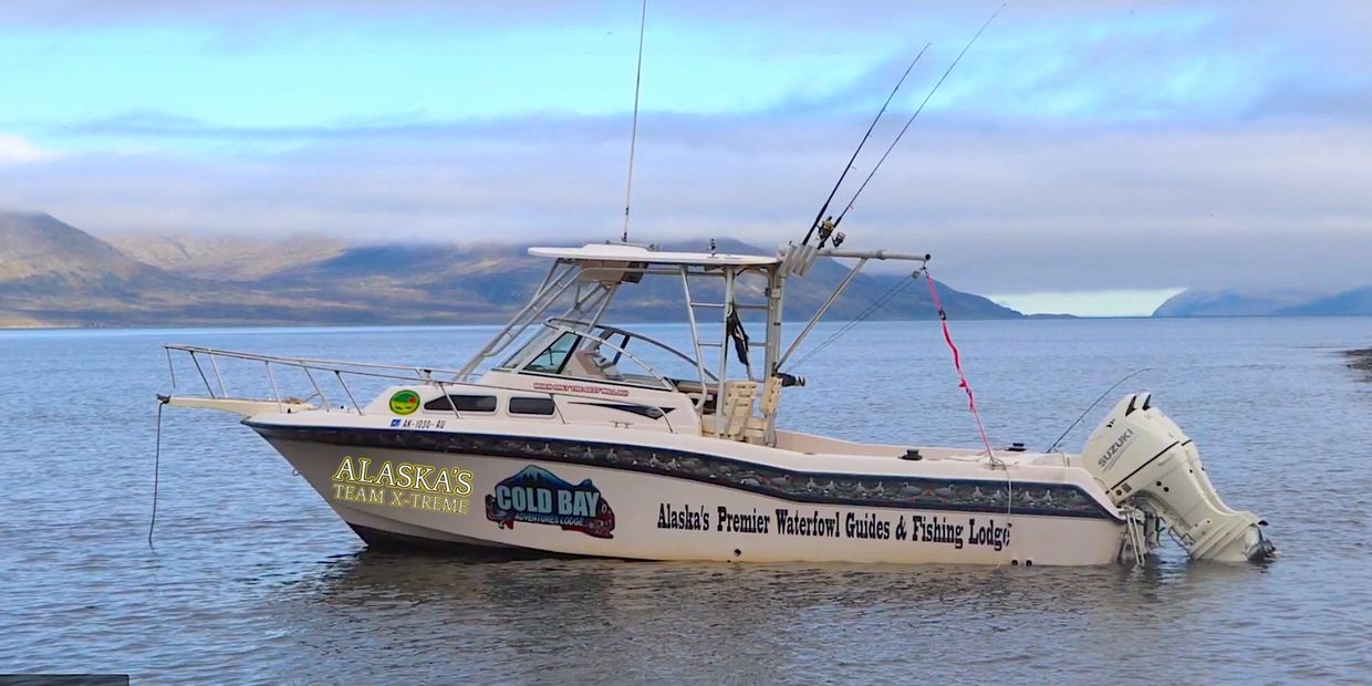 Gradywhite in Alaska , Coldbay Alaska Gradywhite charterboat