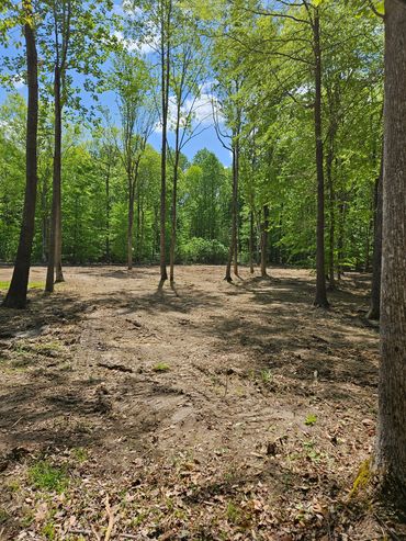 Land Clearing For Future Use