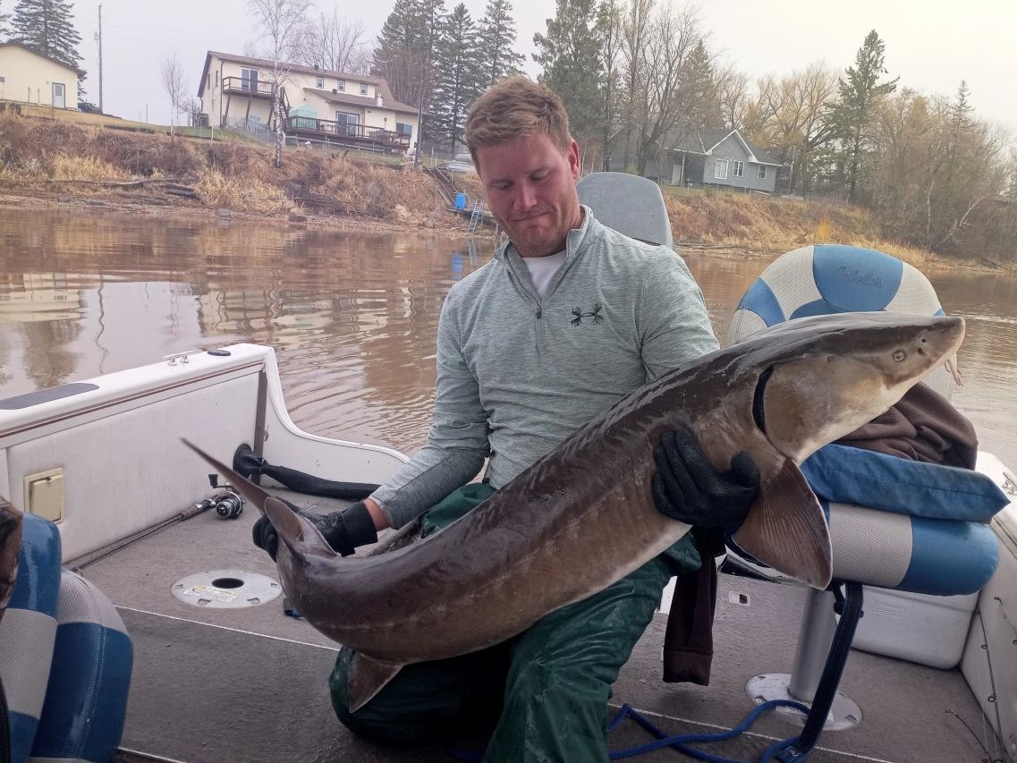 60" Sturgeon caught on Rainy River!