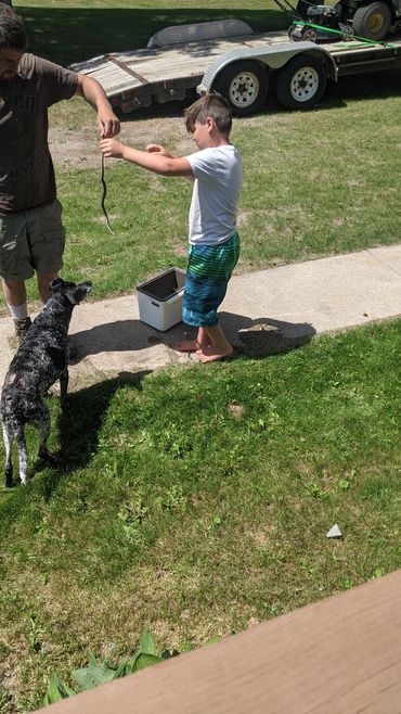 Jeffrey caught a snake at the Royal Dutchman