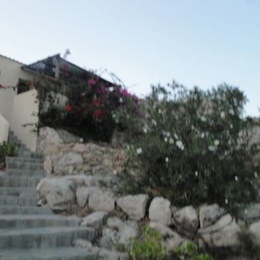 Steps up to balcony with bougainvillea 