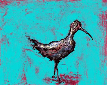 Turquoise Kiwi
