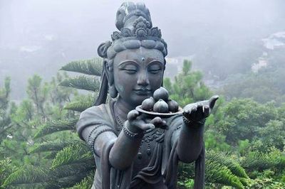 Counseling bears fruit in our mental, emotional, physical and spiritual well being as well as enhancing relationships.