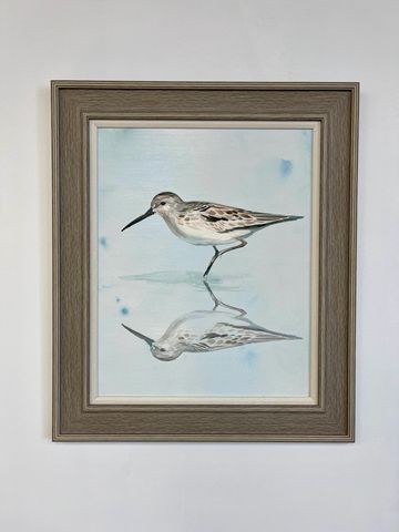 Framed watercolor painting of a shorebird with its reflection in water.