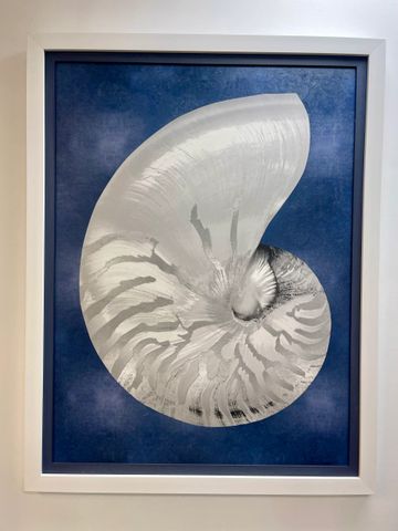 Framed artwork of a large white seashell on a deep blue background.