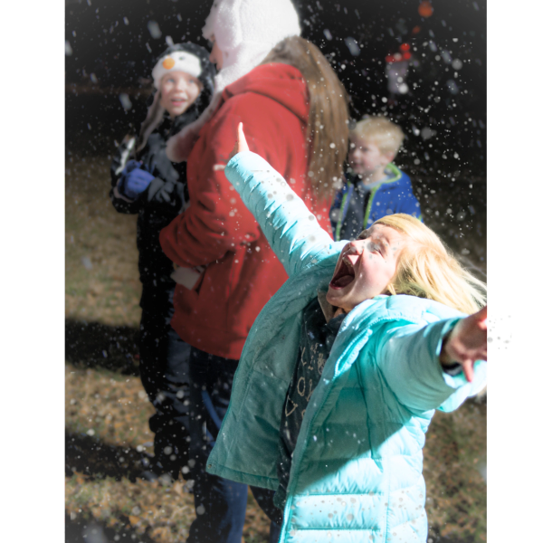How to Plan an Event Using Fake Snow