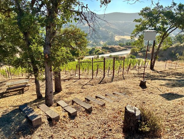 Rustic outdoor seating with vineyard and hills in the background under clear blue sky.