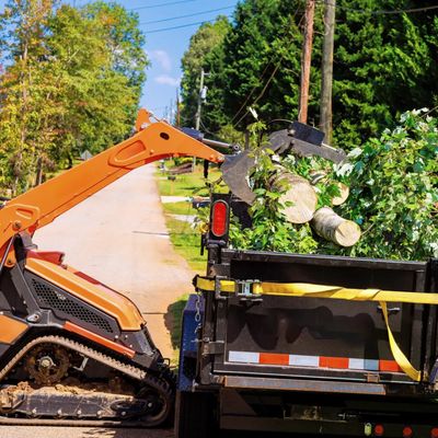Excavator loading cut tree branches into truck.
