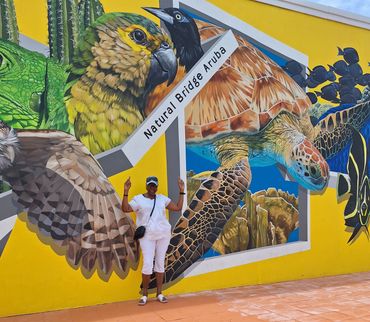 Tour of Natural Bridge in Aruba