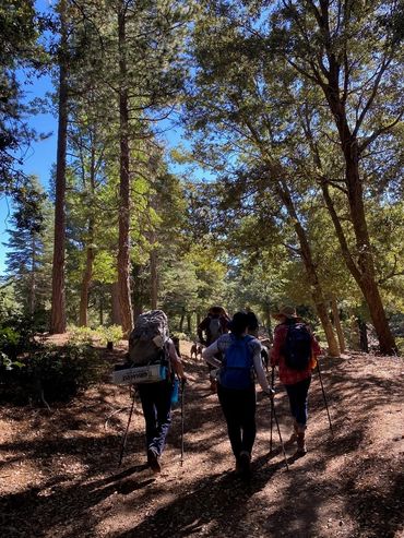 Hiking Trails in Lake Arrowhead