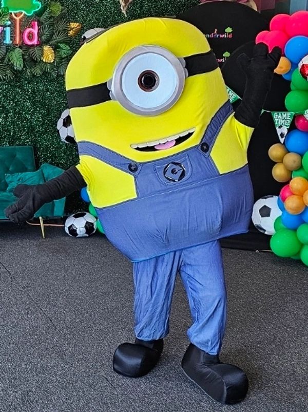 Houston yellow friends mascot party characters ready to play theme games at your birthday event