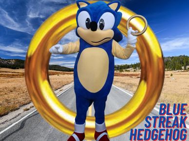 Houston mascot party blue hedgehog birthday. Video game characters, games & photo props