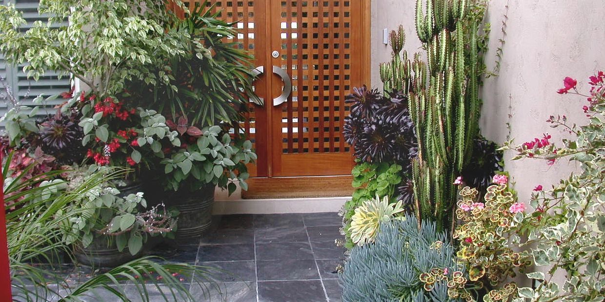 Planter, pot, container, entryway, courtyard, San Diego, Koby's Garden Alchemy, Succulents, Design 