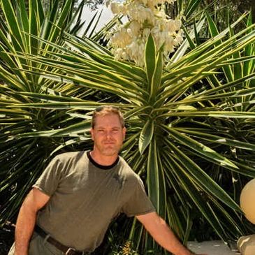 Koby's Garden Alchemy, Yucca variegated, Bloom, Colorful, Foliage, Lush, Design, Fine Gardening
