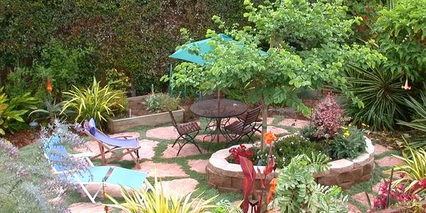 Koby's Garden Alchemy, Planter, Colorful Foliage, Consult, Design, Fine Gardening, Courtyard, Relax