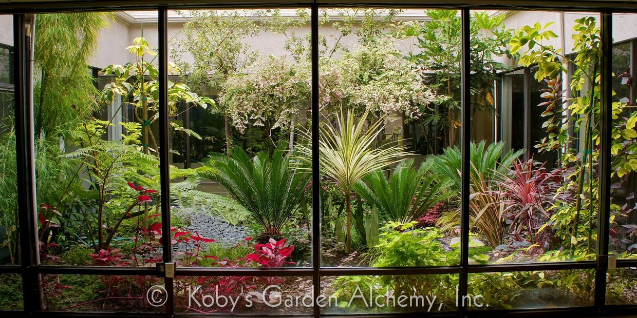Garden Design, Fine gardening, Tropical, Oasis, Garden Courtyard, Colorful foliage, Lush, Refreshing