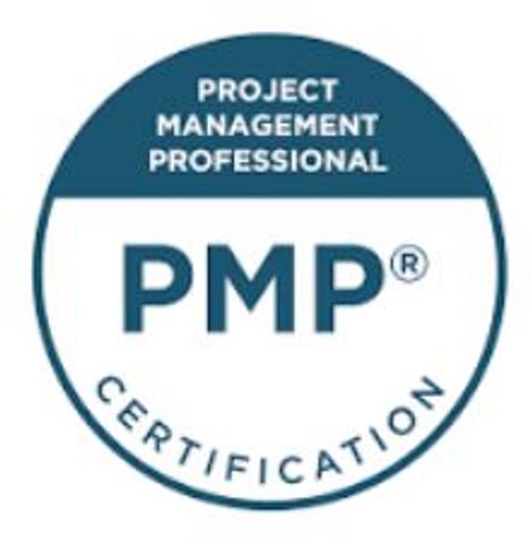 use our PMP Certified Project Management Professionals to help you do process mapping and improve 