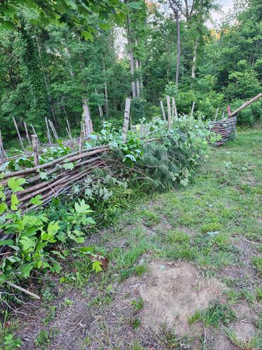 A dead hedge. A natural fence sourced from the trees and greens of the forest.